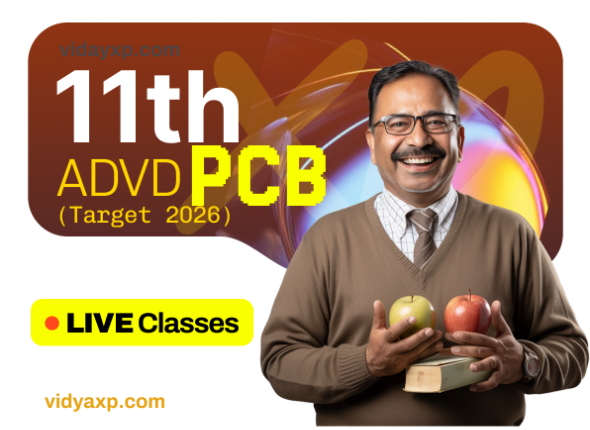 Untitled (590 x 430 px)